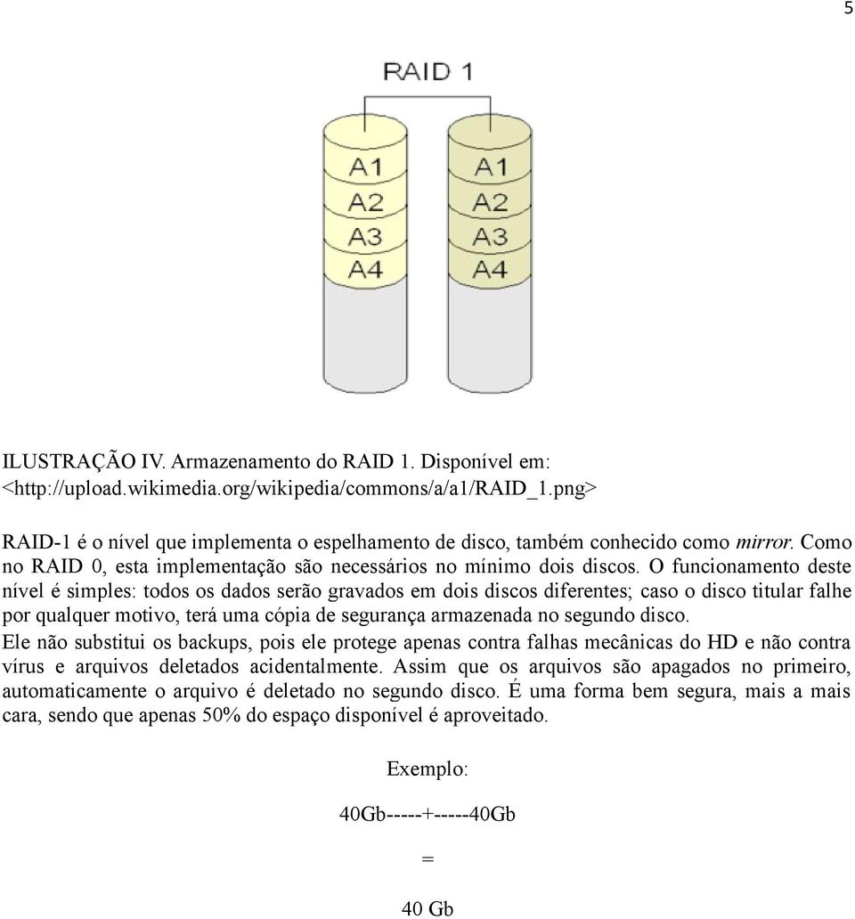 O funcionamento deste nível é simples: todos os dados serão gravados em dois discos diferentes; caso o disco titular falhe por qualquer motivo, terá uma cópia de segurança armazenada no segundo disco.