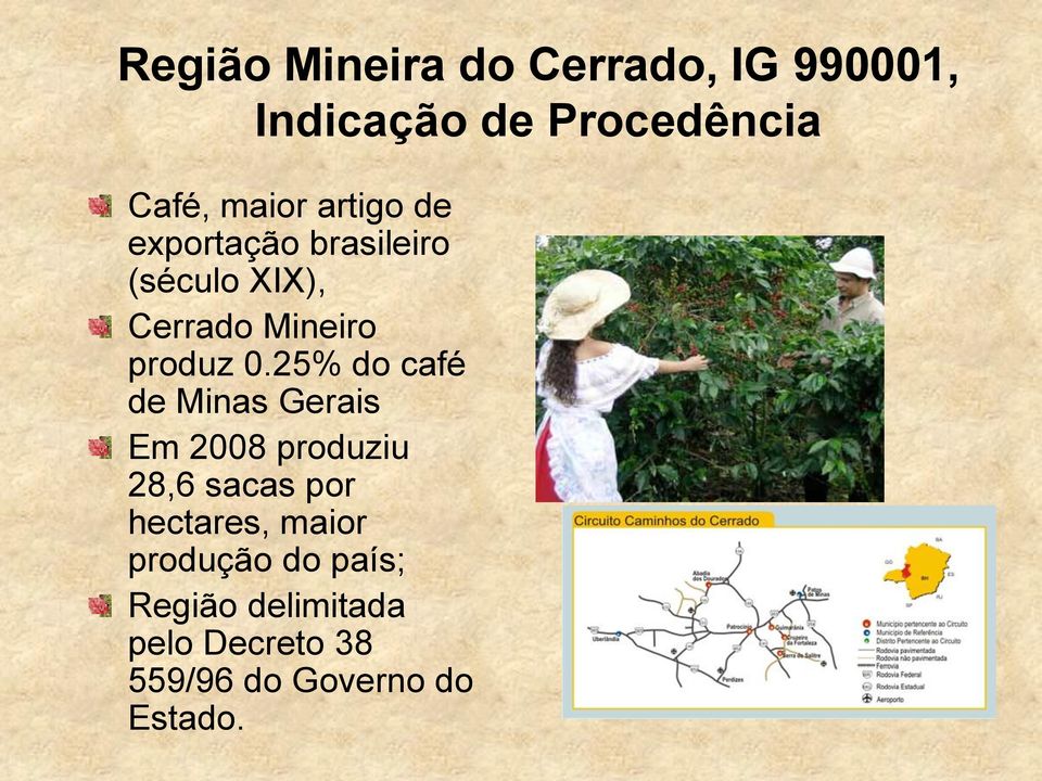 25% do café de Minas Gerais Em 2008 produziu 28,6 sacas por hectares, maior