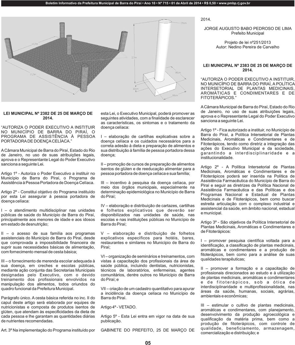 br Projeto de lei nº251/2013 Autor: Nedino Pereira de Carvalho LEI MUNICIPAL Nº 2383 DE 25 DE MARÇO DE AUTORIZA O PODER EXECUTIVO A INSTITUIR, NO MUNICÍPIO DE BARRA DO PIRAÍ, A POLÍTICA INTERSETORIAL