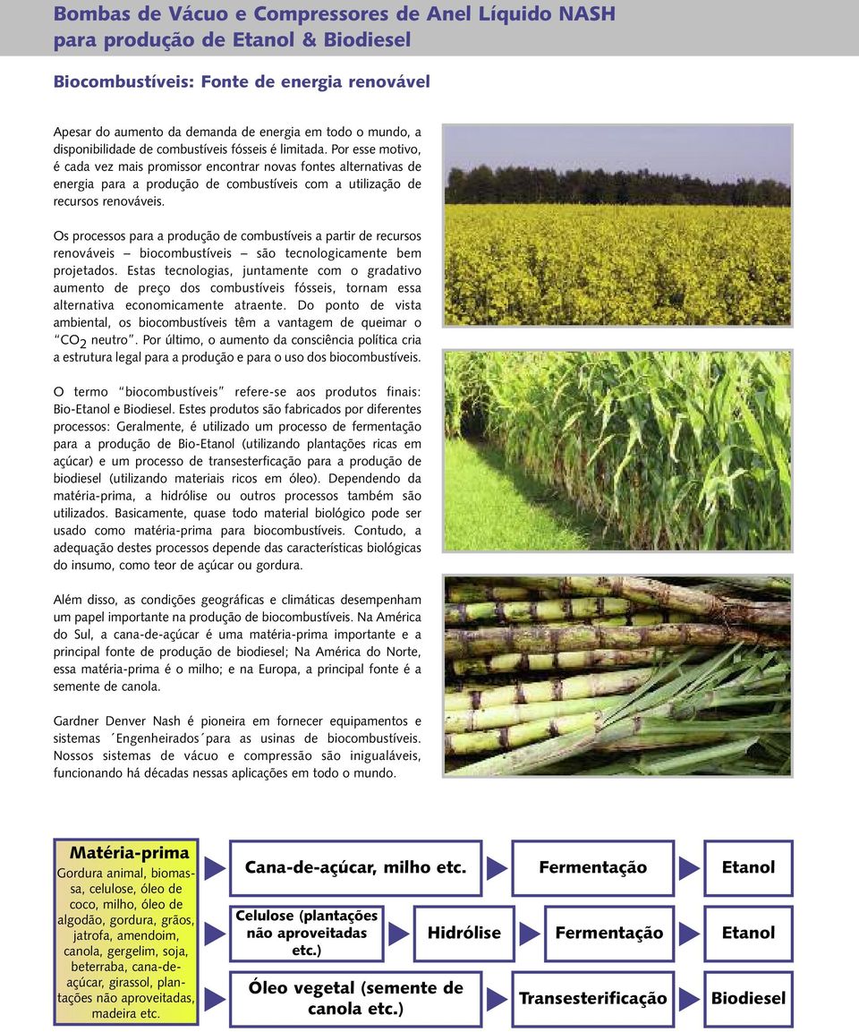 Os processos para a produção de combustíveis a partir de recursos renováveis biocombustíveis são tecnologicamente bem projetados.