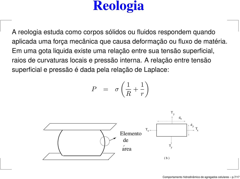 Em uma gota liquida existe uma relação entre sua tensão superficial, raios de curvaturas locais e pressão interna.