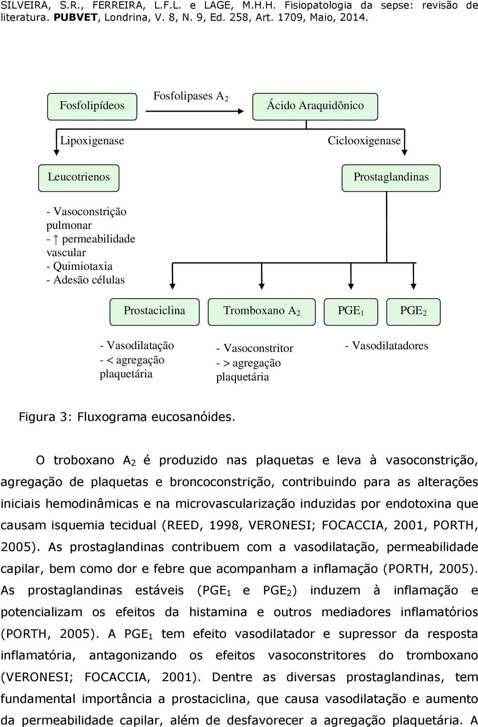 O troboxano A 2 é produzido nas plaquetas e leva à vasoconstrição, agregação de plaquetas e broncoconstrição, contribuindo para as alterações iniciais hemodinâmicas e na microvascularização induzidas