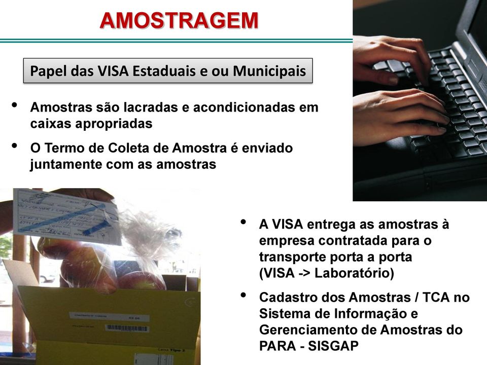 entrega as amostras à empresa contratada para o transporte porta a porta (VISA -> Laboratório)