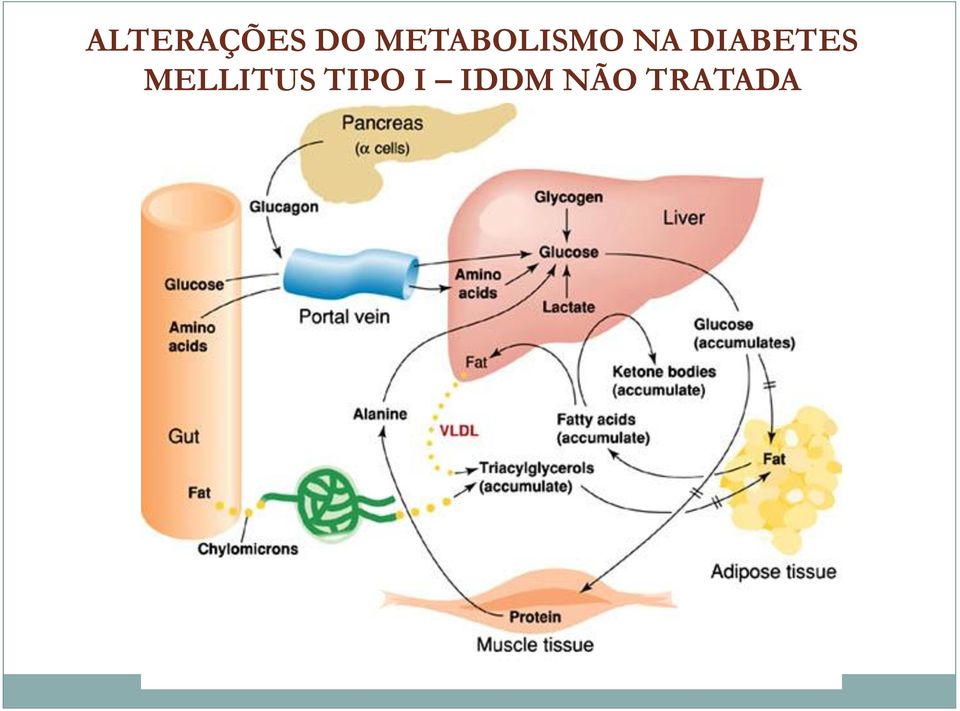 DIABETES MELLITUS