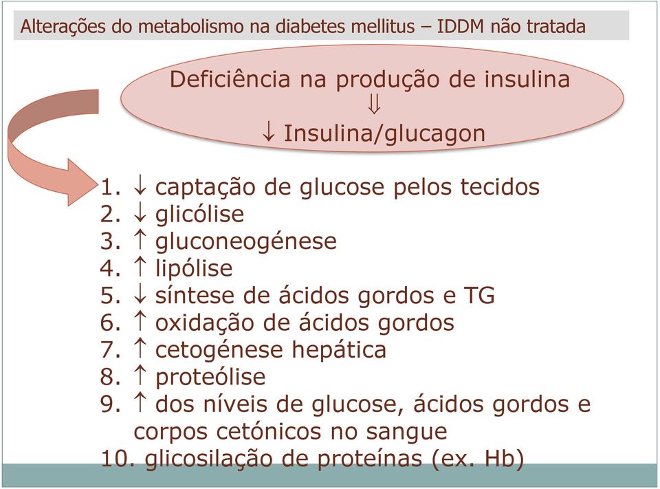 síntese de ácidos gordos e TG 6. oxidação de ácidos gordos 7. cetogénese hepática 8. proteólise 9.