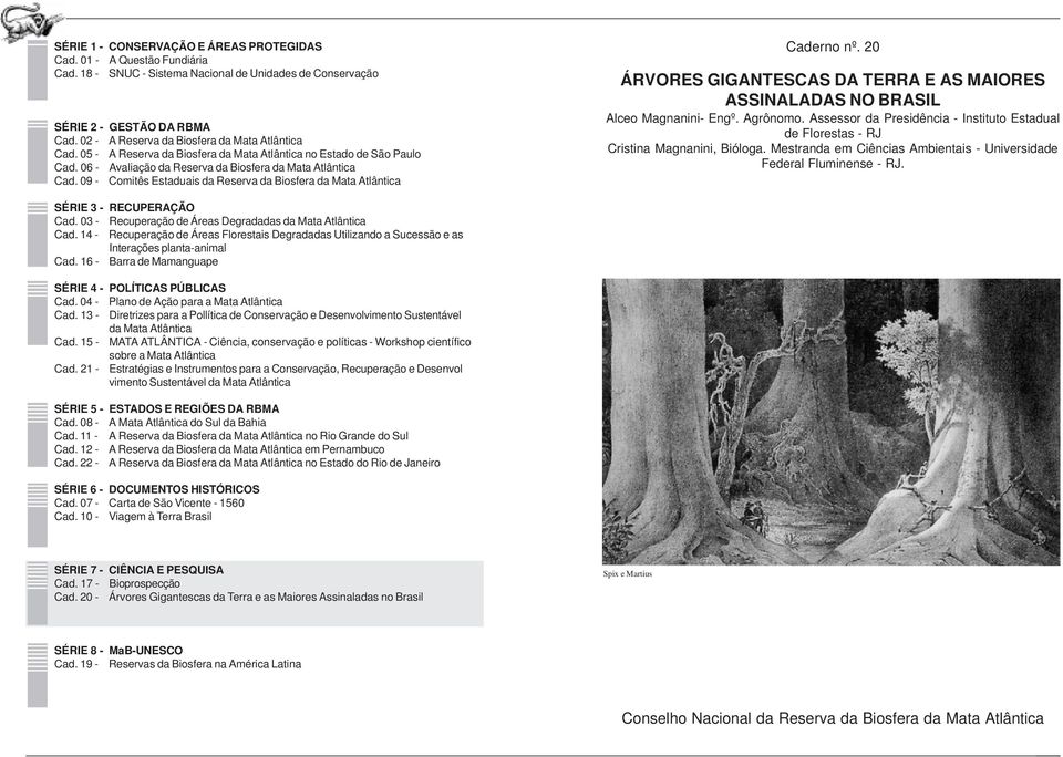 09 - Comitês Estaduais da Reserva da Biosfera da Mata Atlântica Caderno nº. 20 E AS MAIORES ASSINALADAS NO BRASIL Alceo Magnanini- Engº. Agrônomo.