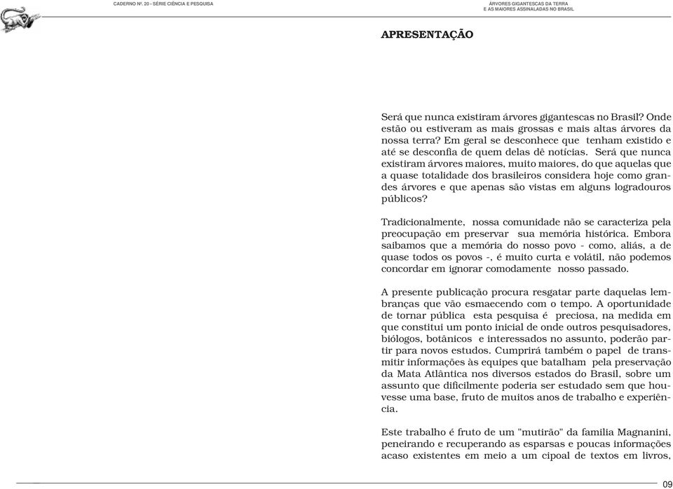 Será que nunca existiram árvores maiores, muito maiores, do que aquelas que a quase totalidade dos brasileiros considera hoje como grandes árvores e que apenas são vistas em alguns logradouros