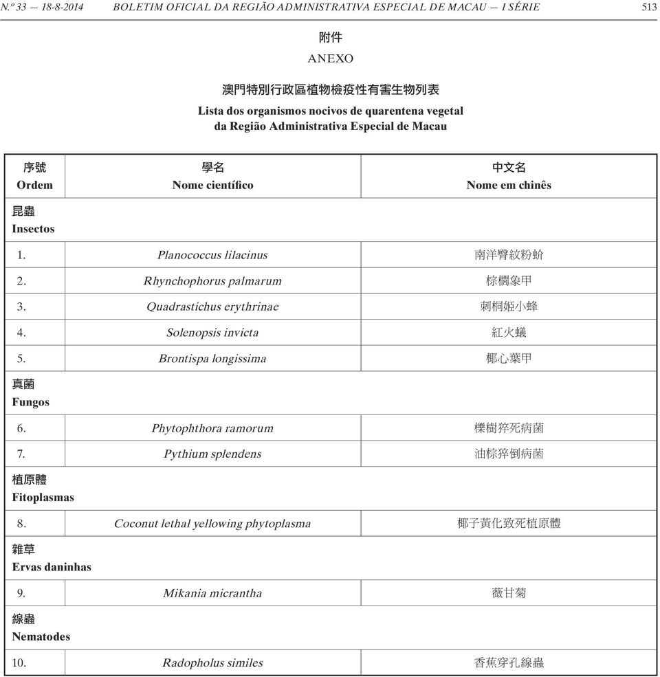 Quadrastichus erythrinae 刺 桐 姬 小 蜂 4. Solenopsis invicta 紅 火 蟻 5. Brontispa longissima 椰 心 葉 甲 Fungos 6. Phytophthora ramorum 櫟 樹 猝 死 病 菌 7.