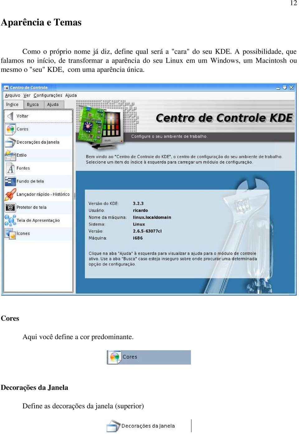 Windows, um Macintosh ou mesmo o "seu" KDE, com uma aparência única.