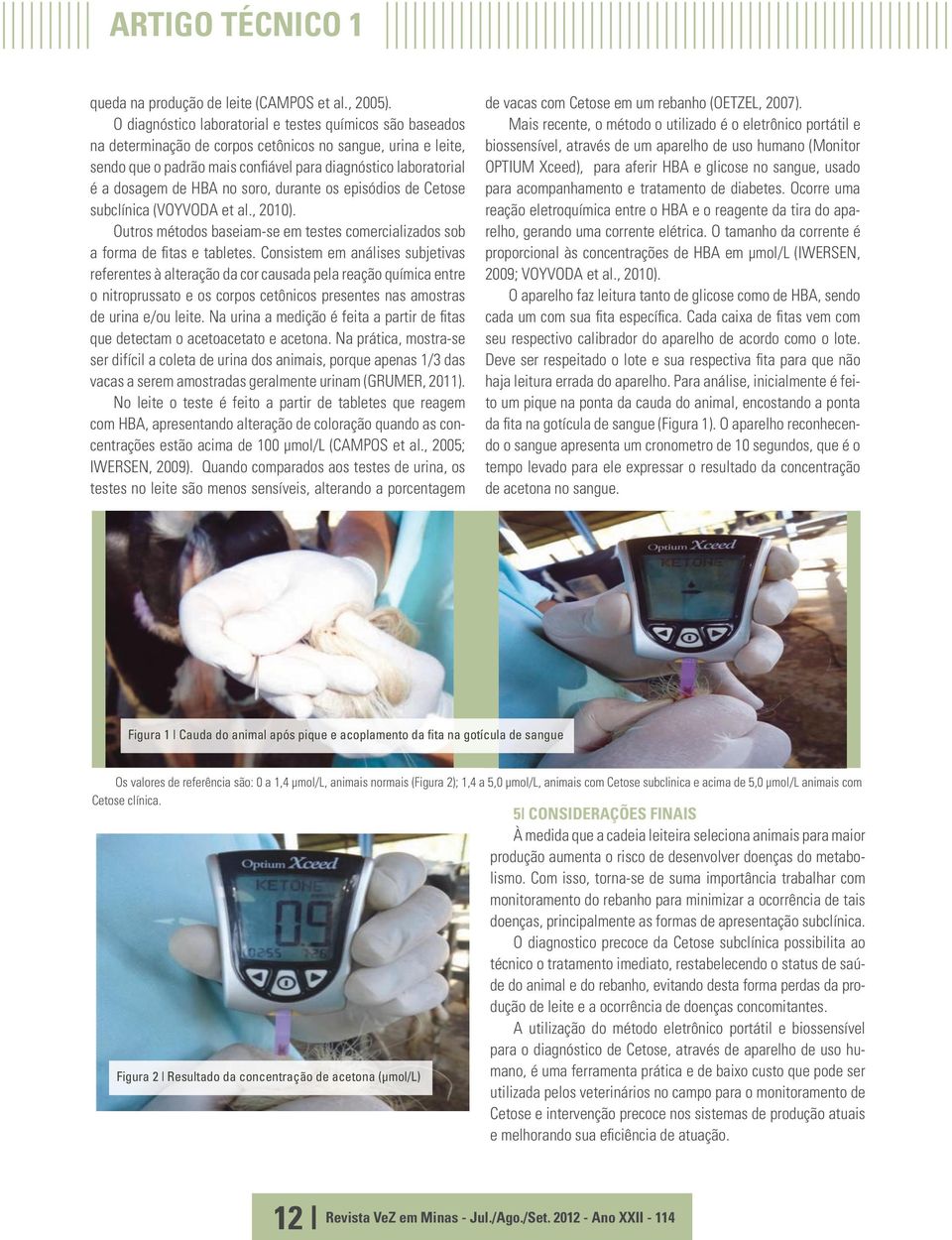 HBA no soro, durante os episódios de Cetose subclínica (VOYVODA et al., 2010). Outros métodos baseiam-se em testes comercializados sob a forma de fitas e tabletes.