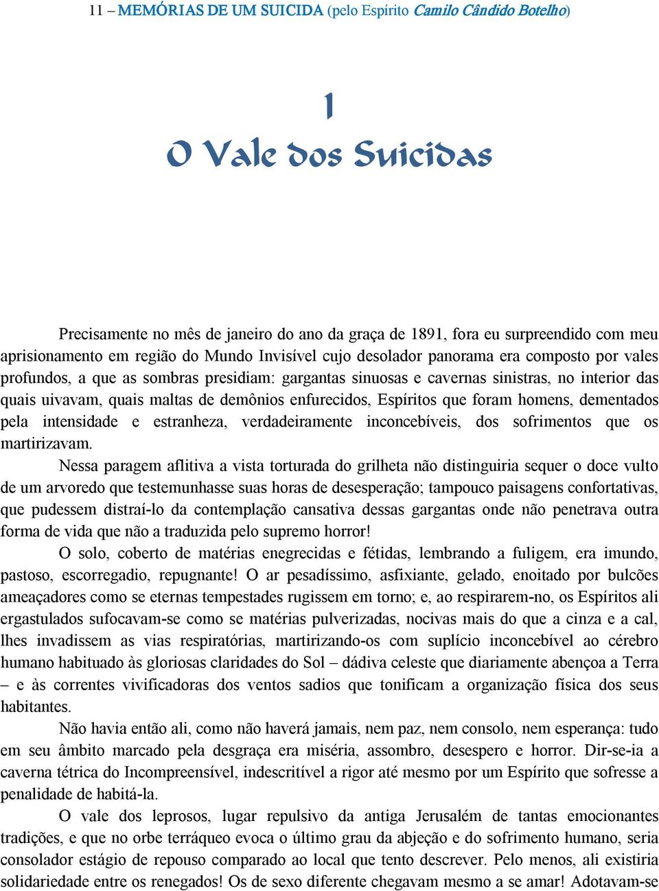 enfurecidos, Espíritos que foram homens, dementados pela intensidade e estranheza, verdadeiramente inconcebíveis, dos sofrimentos que os martirizavam.