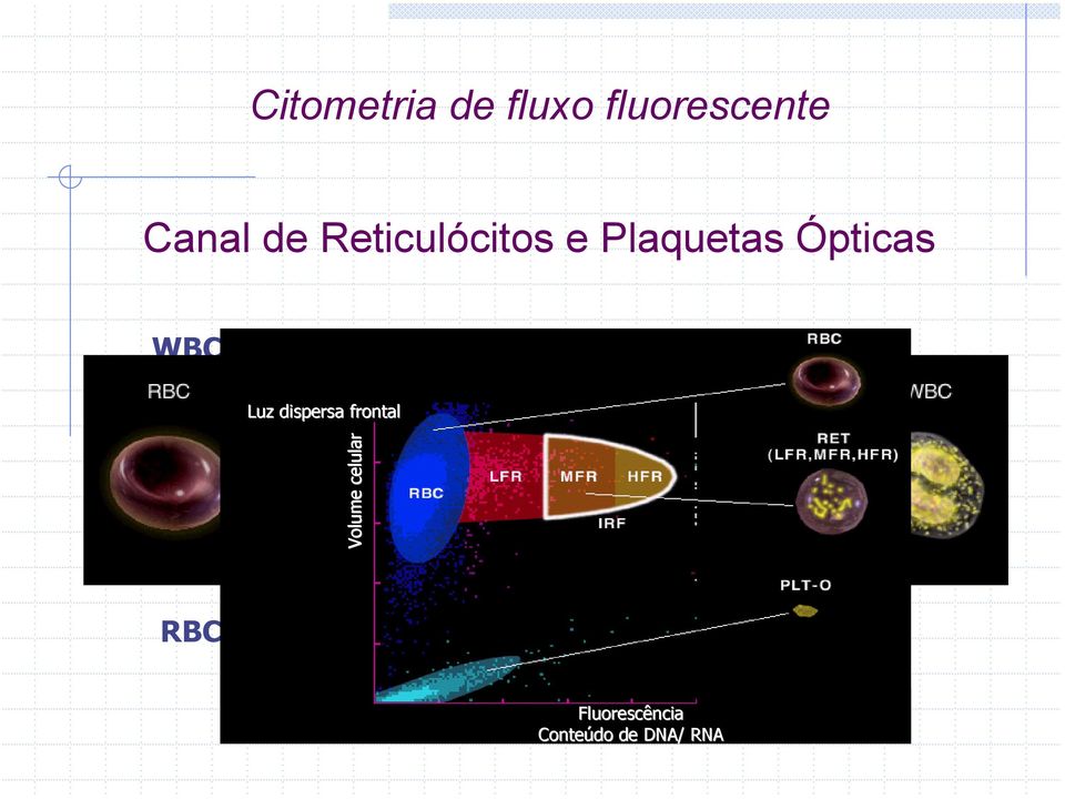 celular Fluorescência muito alta Fluorescência alta RBC