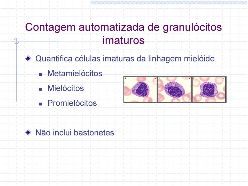 linhagem mielóide Metamielócitos