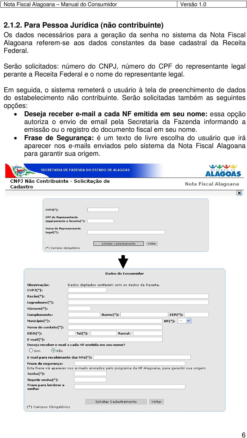 Em seguida, o sistema remeterá o usuário à tela de preenchimento de dados do estabelecimento não contribuinte.