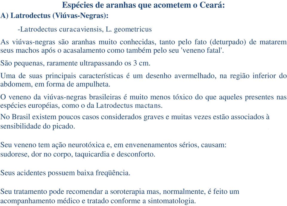 São pequenas, raramente ultrapassando os 3 cm. Uma de suas principais características é um desenho avermelhado, na região inferior do abdomem, em forma de ampulheta.