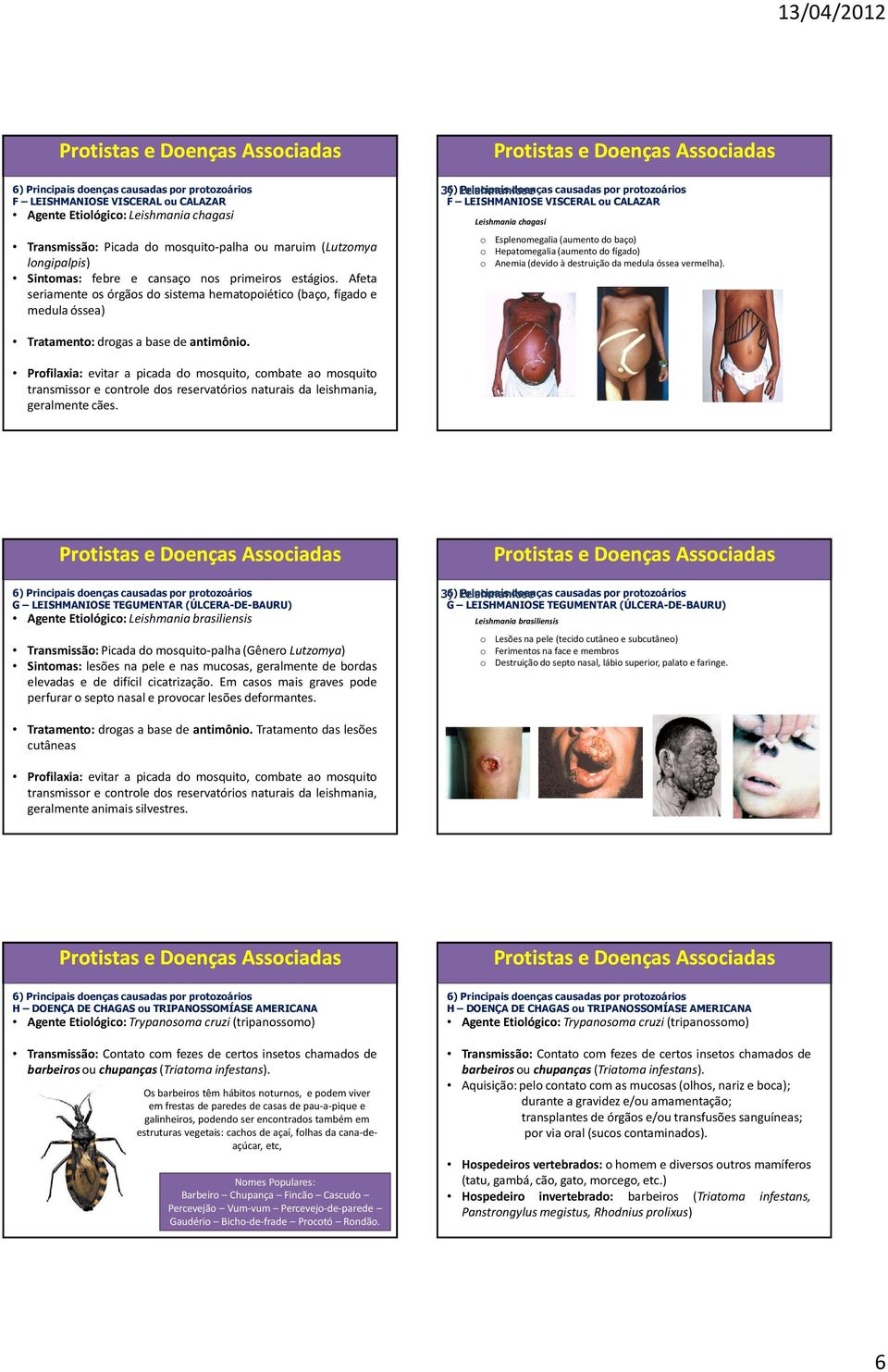 chagasi o Esplenomegalia(aumento do baço) o Hepatomegalia(aumento do fígado) o Anemia(devido à destruição da medula óssea vermelha). Tratamento: drogas a base de antimônio.