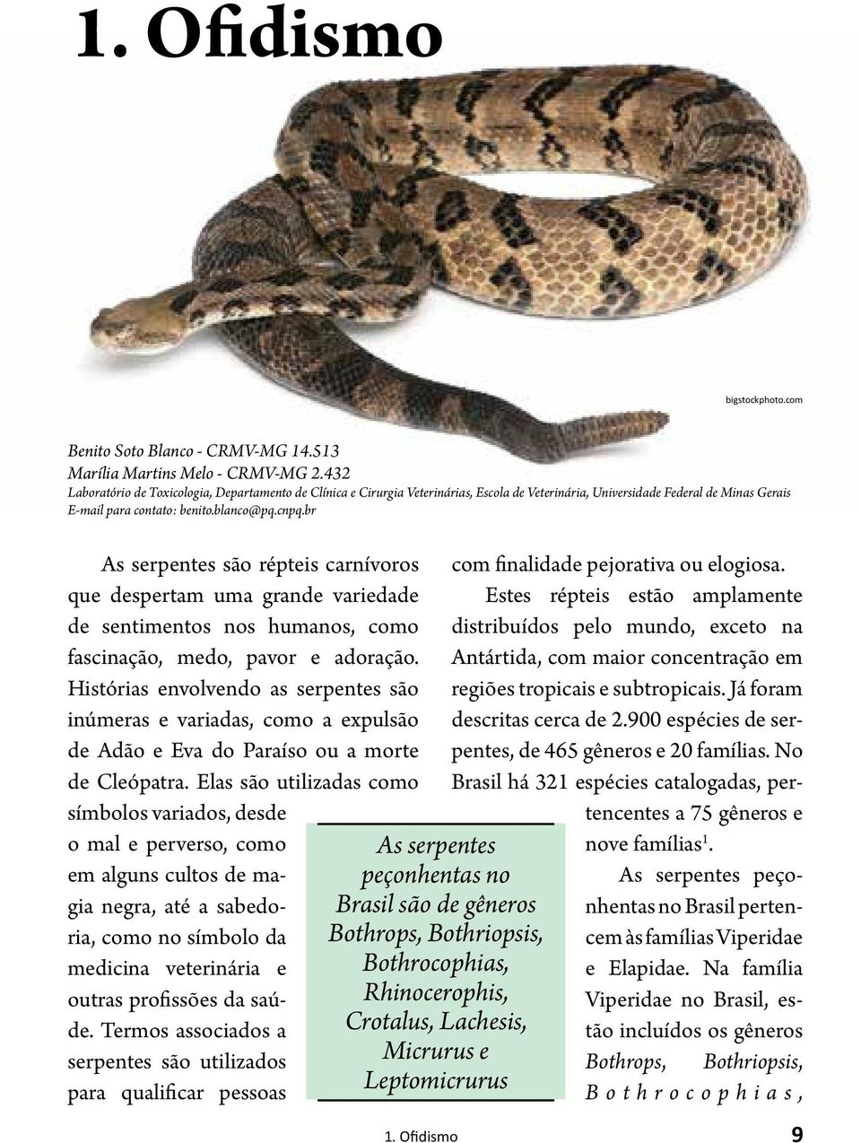 br As serpentes são répteis carnívoros que despertam uma grande variedade de sentimentos nos humanos, como fascinação, medo, pavor e adoração.