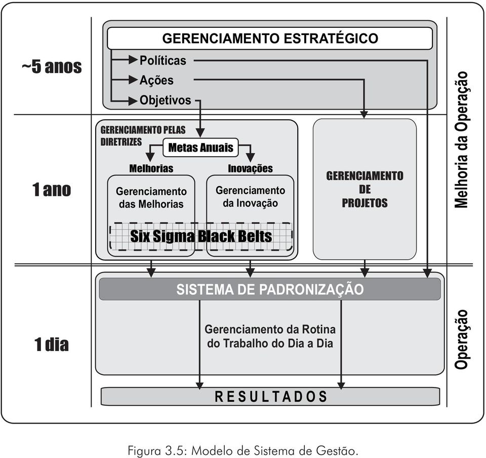 GERENCIAMENTO DE PROJETOS Melhoria da Operação Six Sigma Black Belts 1 dia SISTEMA DE PADRONIZAÇÃO