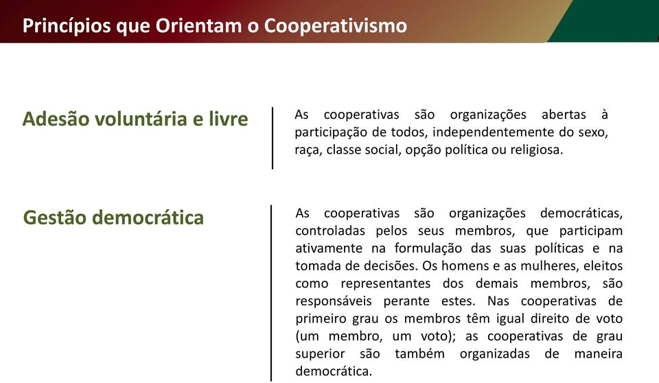 Gestão democrática As cooperativas são organizações democráticas, controladas pelos seus membros, que participam ativamente na formulação das suas políticas e na