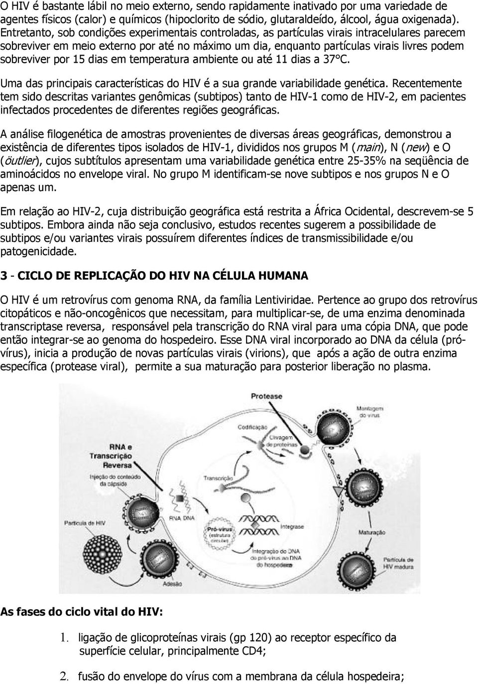 sobreviver por 15 dias em temperatura ambiente ou até 11 dias a 37 C. Uma das principais características do HIV é a sua grande variabilidade genética.