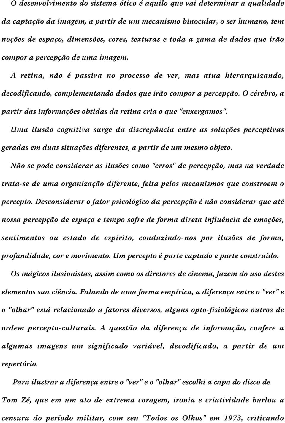 O cérebro, a partir das informações obtidas da retina cria o que "enxergamos".