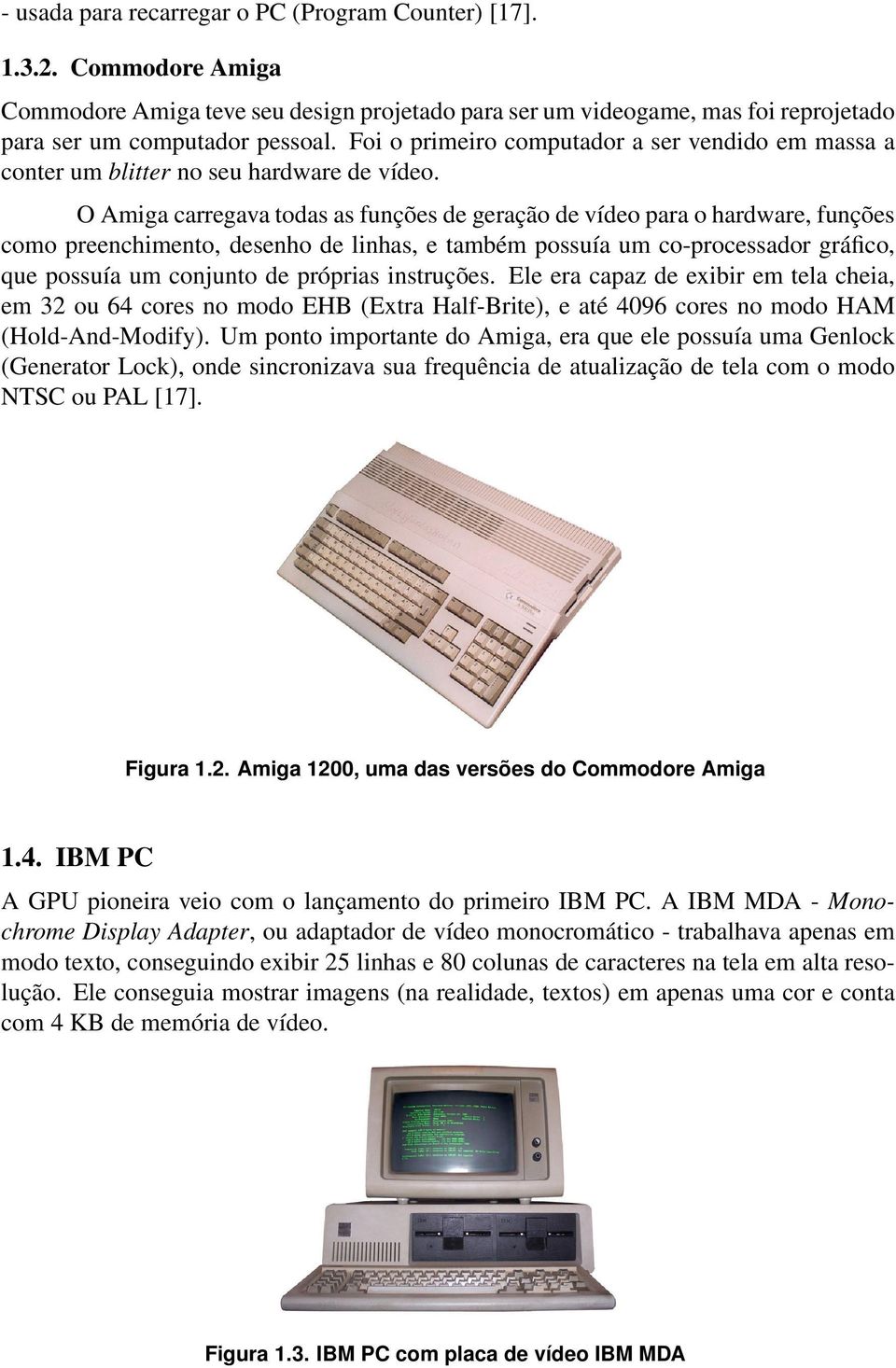 O Amiga carregava todas as funções de geração de vídeo para o hardware, funções como preenchimento, desenho de linhas, e também possuía um co-processador gráfico, que possuía um conjunto de próprias