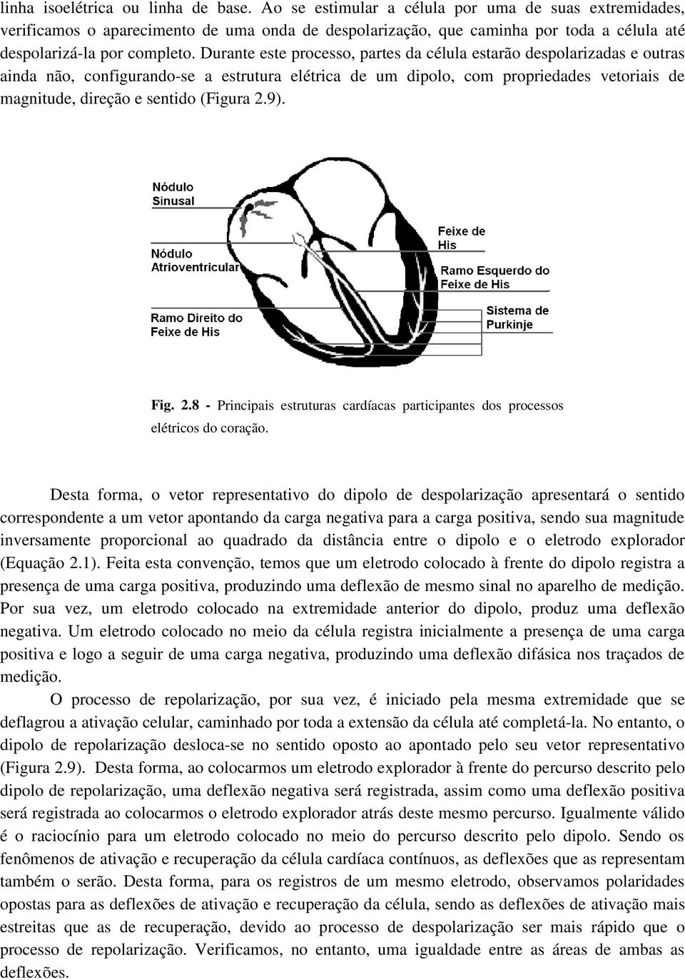 sentido (Figura 29) Fig 28 - Principais estruturas cardíacas participantes dos processos elétricos do coração Desta forma, o vetor representativo do dipolo de despolarização apresentará o sentido