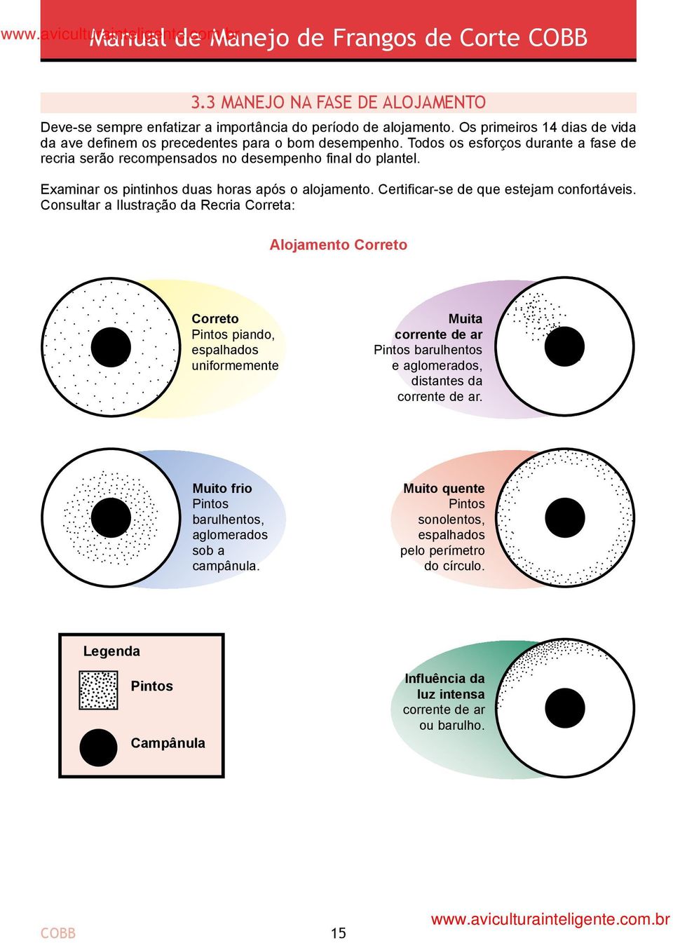 Consultar a Ilustração da Recria Correta: Alojamento Correto Correto Pintos piando, espalhados uniformemente Muita corrente de ar Pintos barulhentos e aglomerados, distantes da corrente de ar.