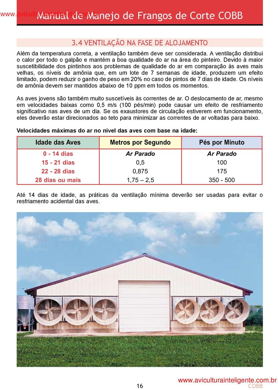 Devido à maior suscetibilidade dos pintinhos aos problemas de qualidade do ar em comparação às aves mais velhas, os níveis de amônia que, em um lote de 7 semanas de idade, produzem um efeito