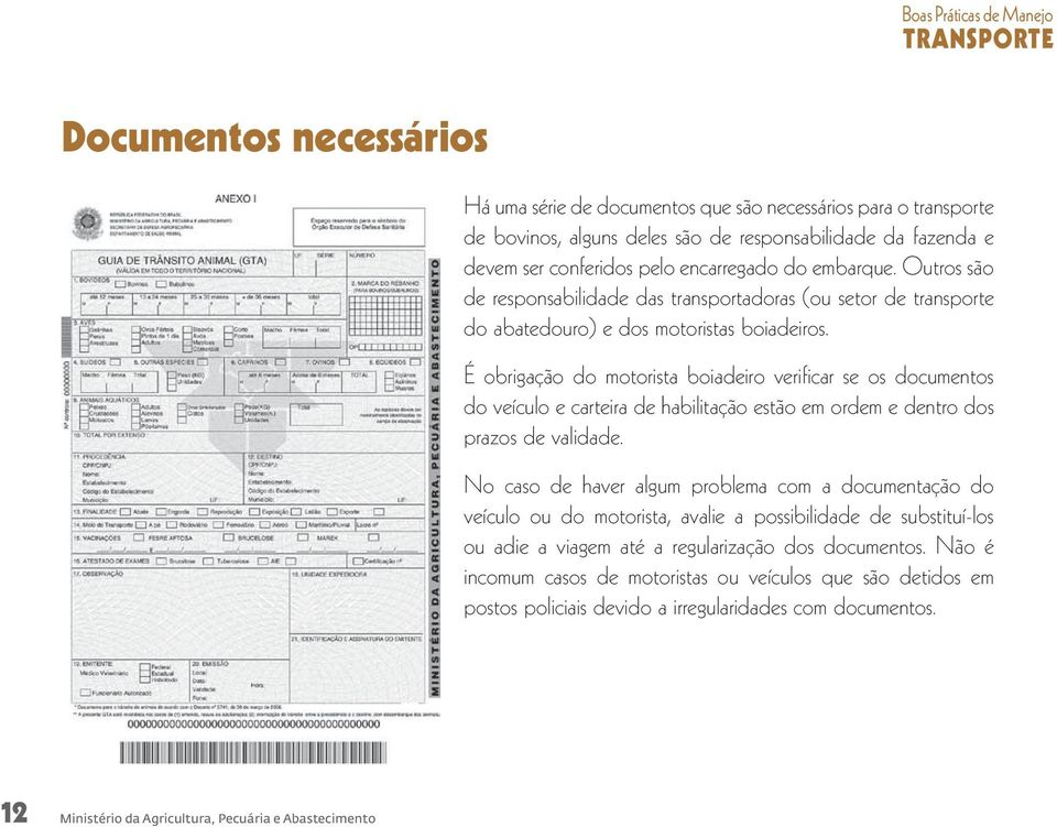 É obrigação do motorista boiadeiro verificar se os documentos do veículo e carteira de habilitação estão em ordem e dentro dos prazos de validade.