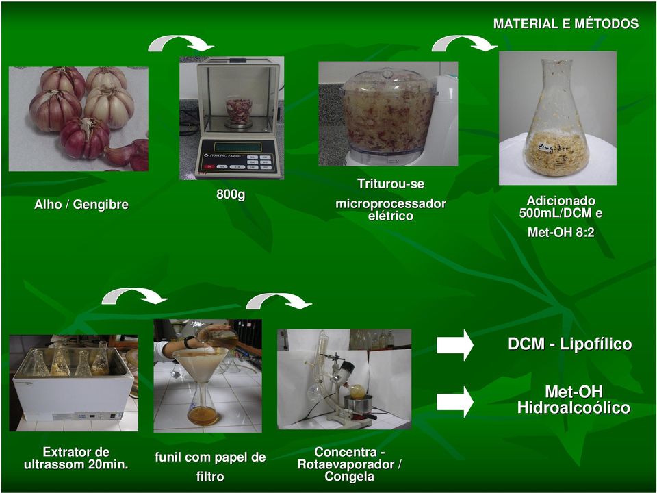 DCM - Lipofílico Met-OH Hidroalcoólico lico Extrator de