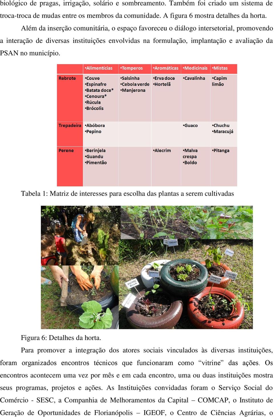 Tabela 1: Matriz de interesses para escolha das plantas a serem cultivadas Figura 6: Detalhes da horta.