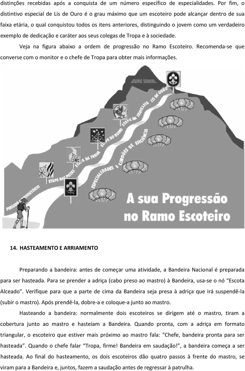 verdadeiro exemplo de dedicação e caráter aos seus colegas de Tropa e à sociedade. Veja na figura abaixo a ordem de progressão no Ramo Escoteiro.