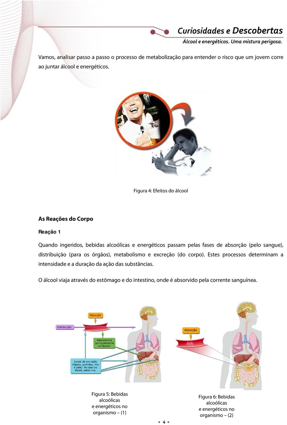 distribuição (para os órgãos), metabolismo e excreção (do corpo). Estes processos determinam a intensidade e a duração da ação das substâncias.