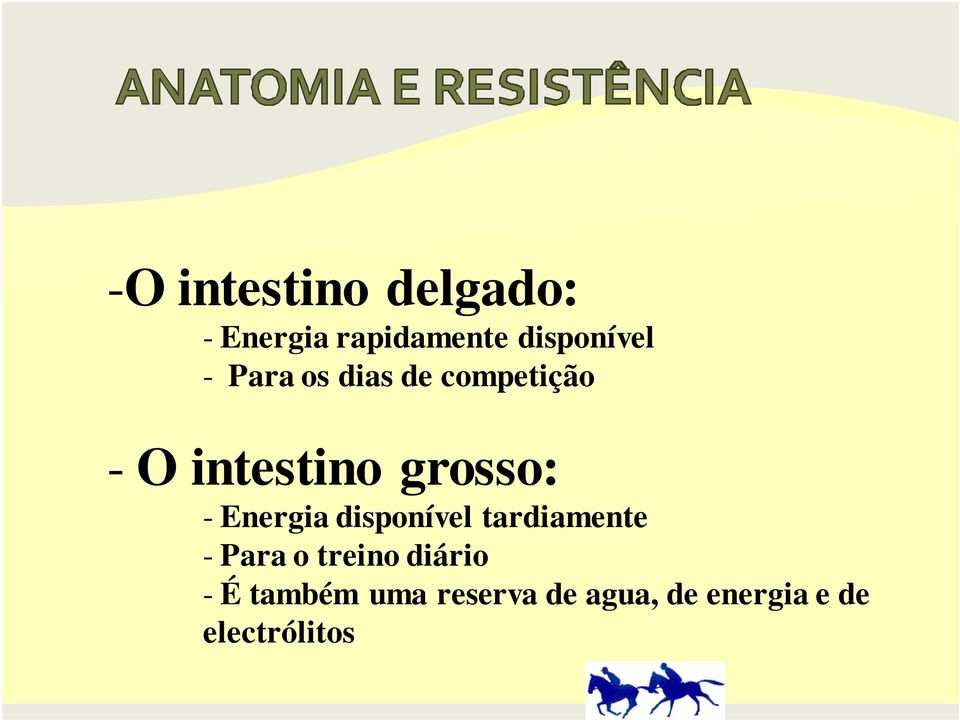 Energia disponível tardiamente - Para o treino diário -