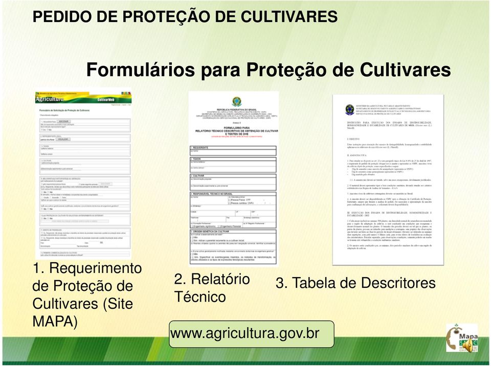Requerimento de Proteção de Cultivares (Site
