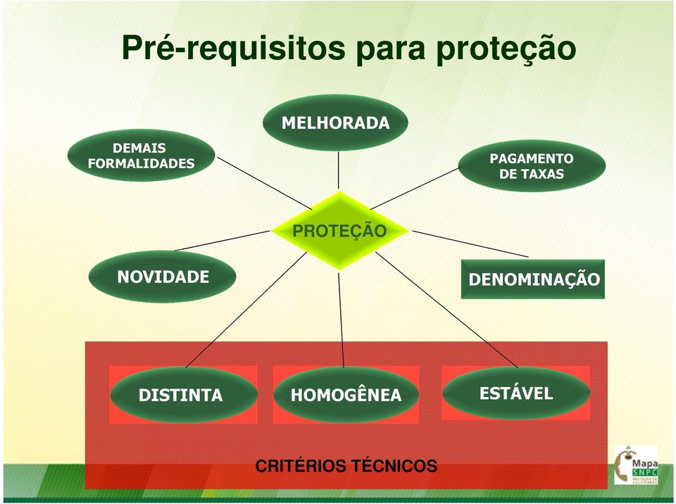 TAXAS PROTEÇÃO NOVIDADE DENOMINAÇÃO