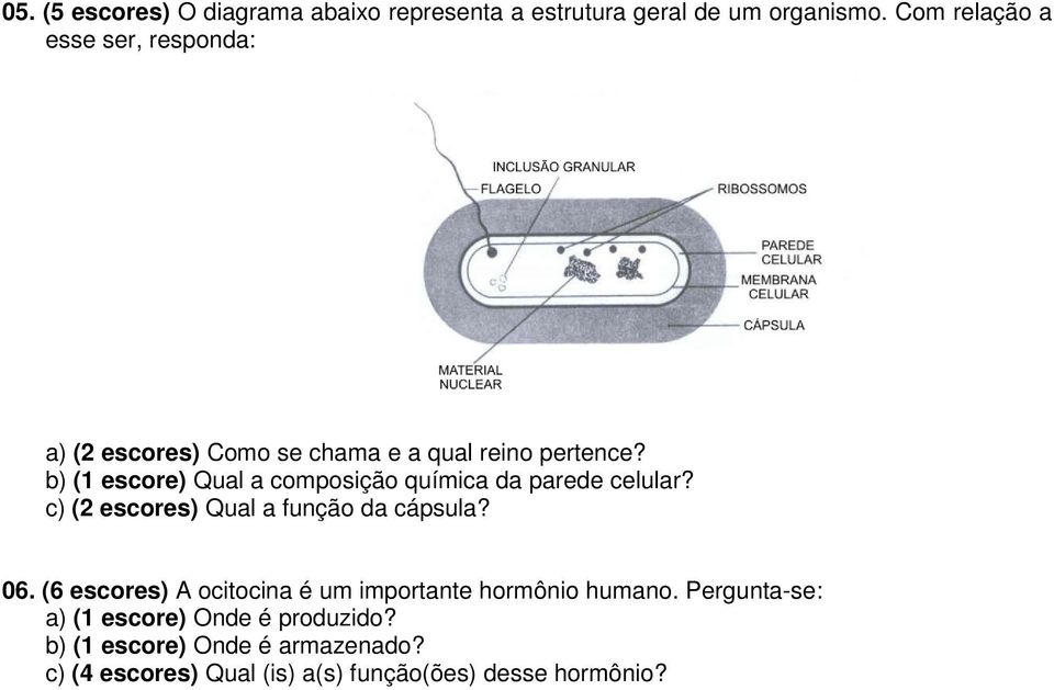 b) (1 escore) Qual a composição química da parede celular? c) (2 escores) Qual a função da cápsula? 06.