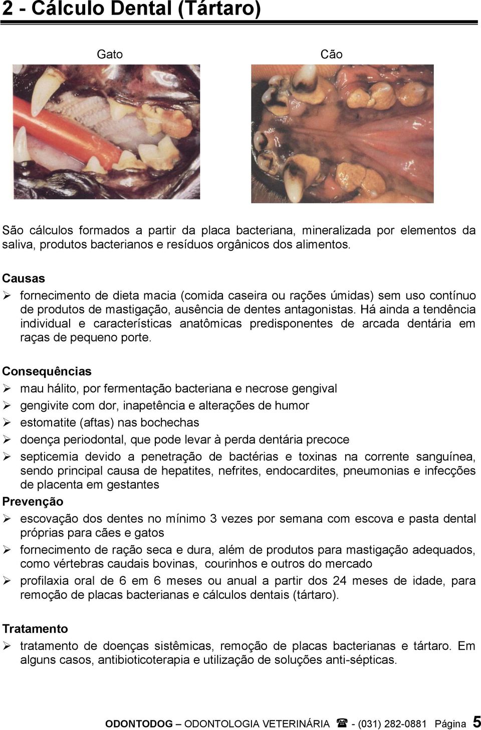 Há ainda a tendência individual e características anatômicas predisponentes de arcada dentária em raças de pequeno porte.