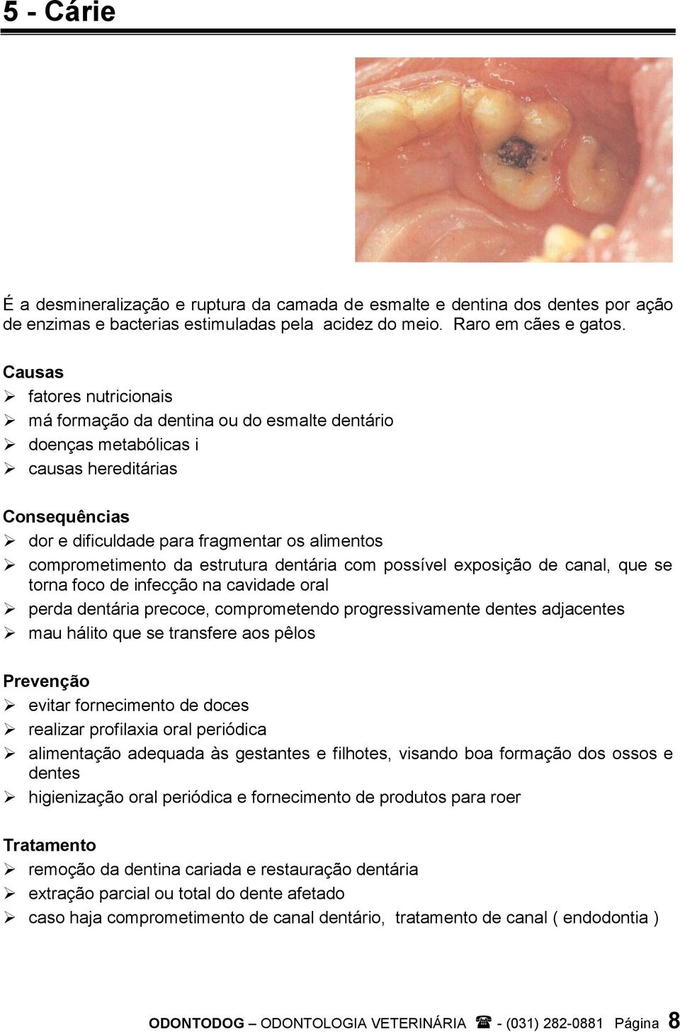 possível exposição de canal, que se torna foco de infecção na cavidade oral perda dentária precoce, comprometendo progressivamente dentes adjacentes mau hálito que se transfere aos pêlos evitar