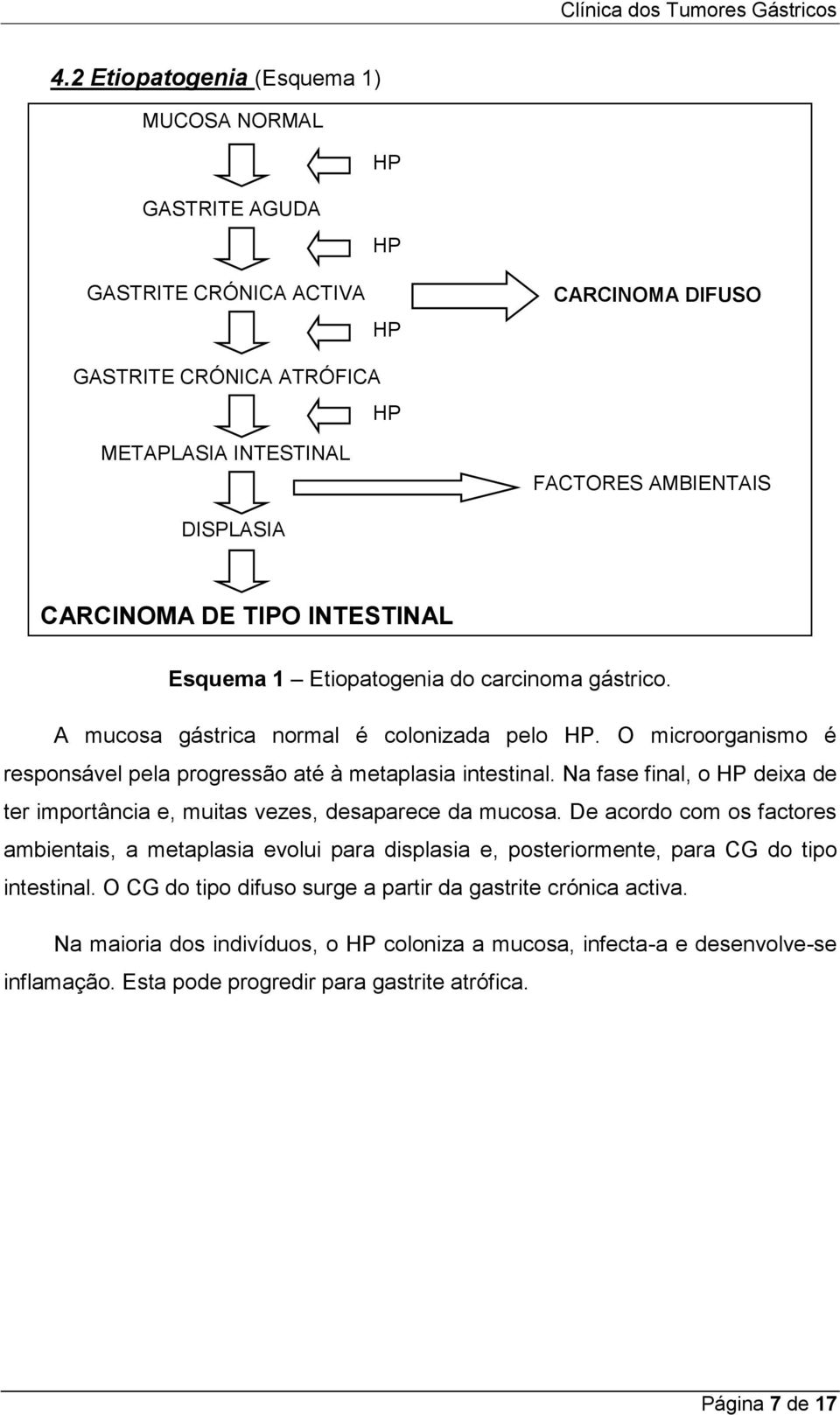 Na fase final, o HP deixa de ter importância e, muitas vezes, desaparece da mucosa.