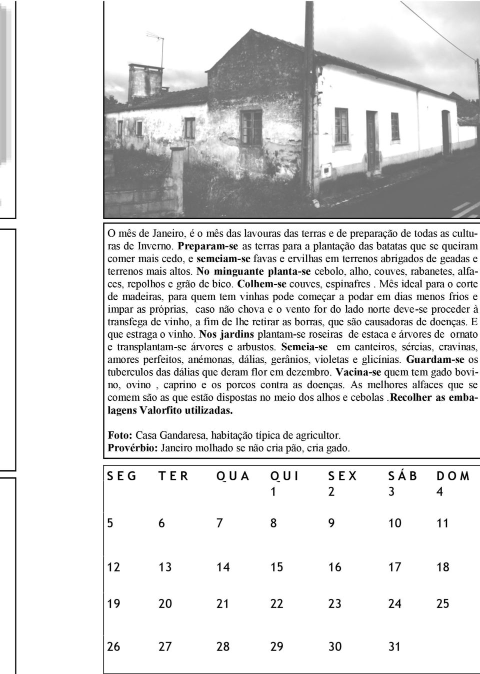 No minguante planta-se cebolo, alho, couves, rabanetes, alfaces, repolhos e grão de bico. Colhem-se couves, espinafres.