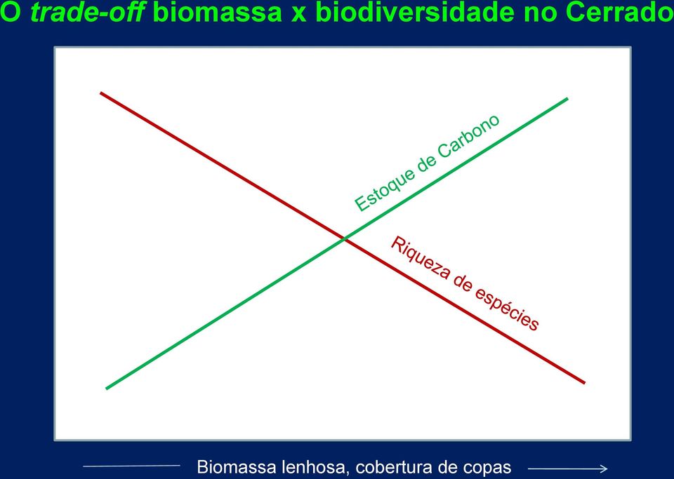 Cerrado Biomassa