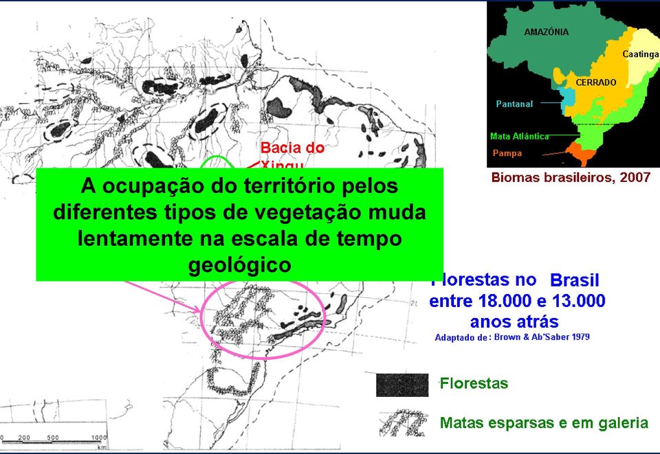 vegetação muda lentamente