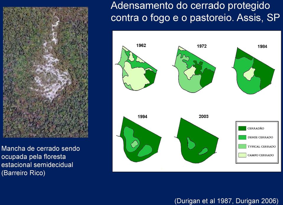 Assis, SP Mancha de cerrado sendo ocupada pela