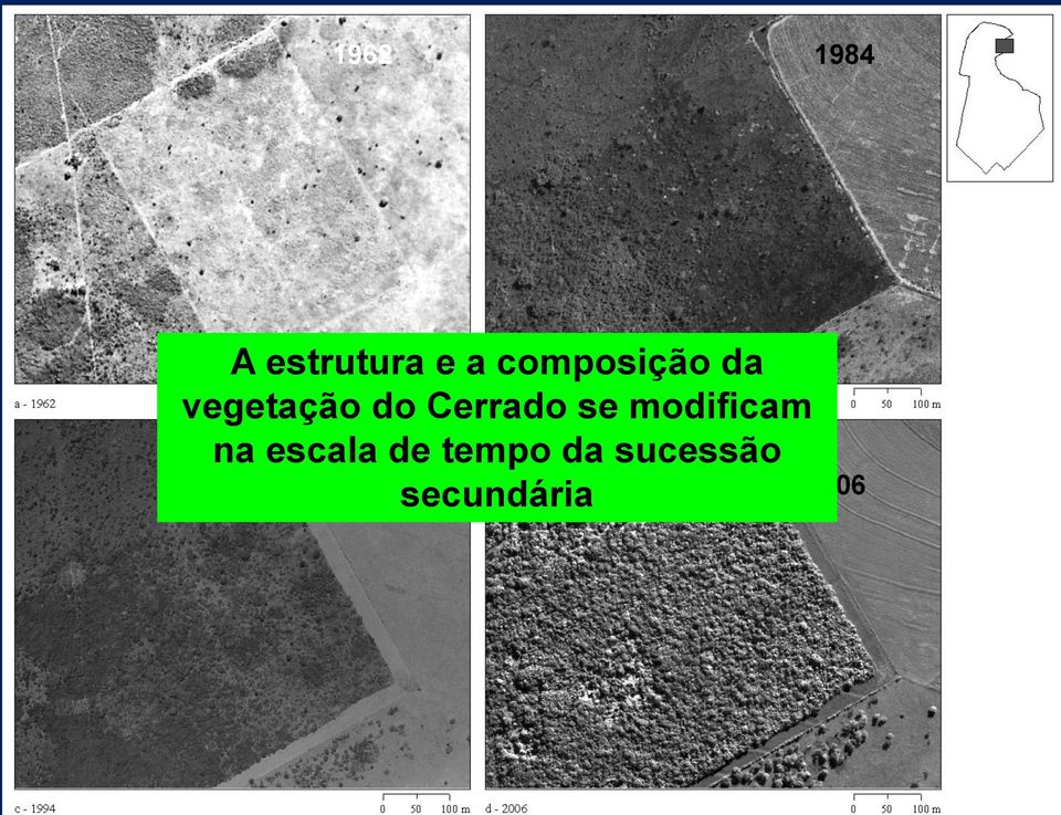 Cerrado se modificam na escala