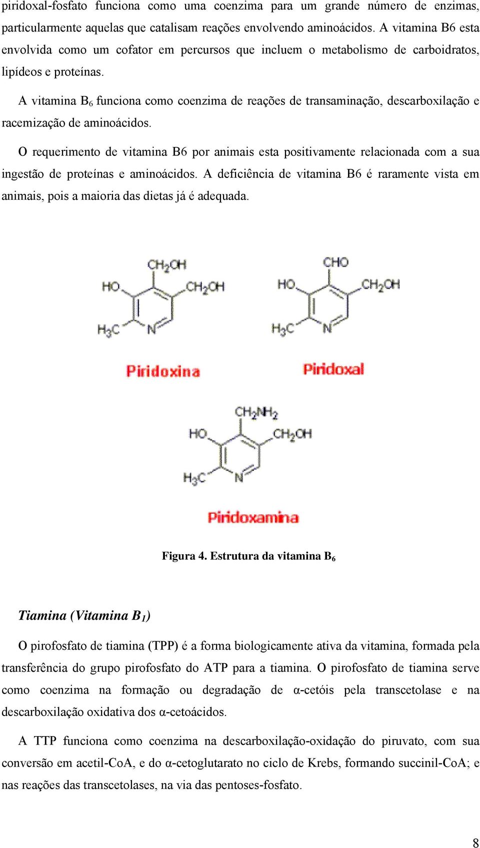 A vitamina B 6 funciona como coenzima de reações de transaminação, descarboxilação e racemização de aminoácidos.