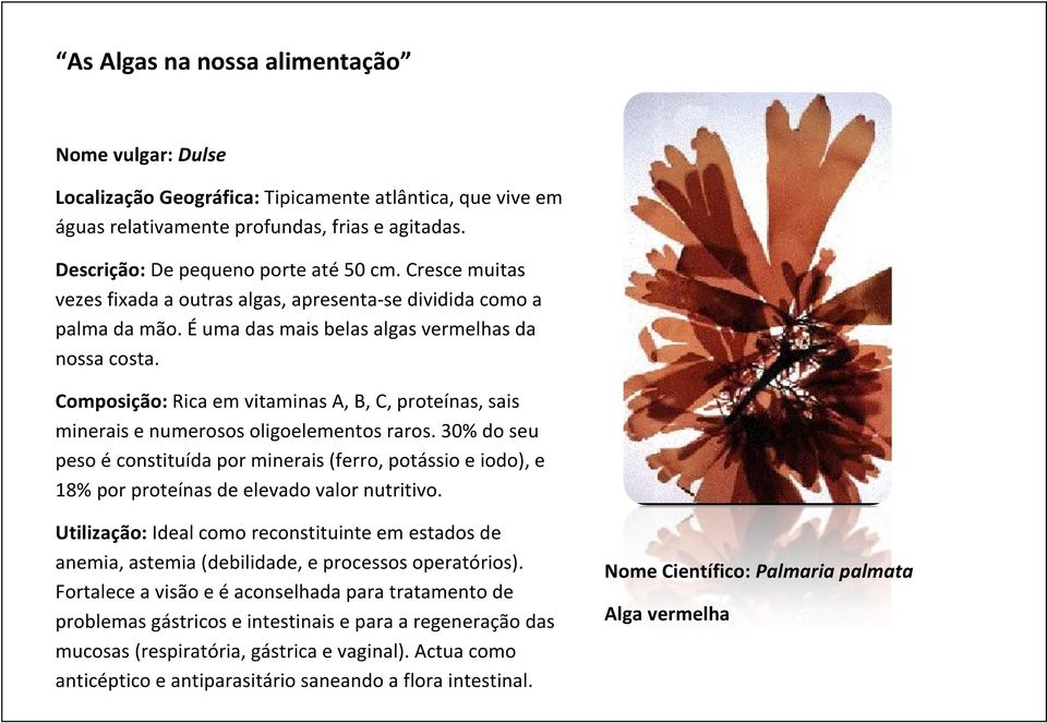 Composição: Rica em vitaminas A, B, C, proteínas, sais minerais e numerosos oligoelementos raros.