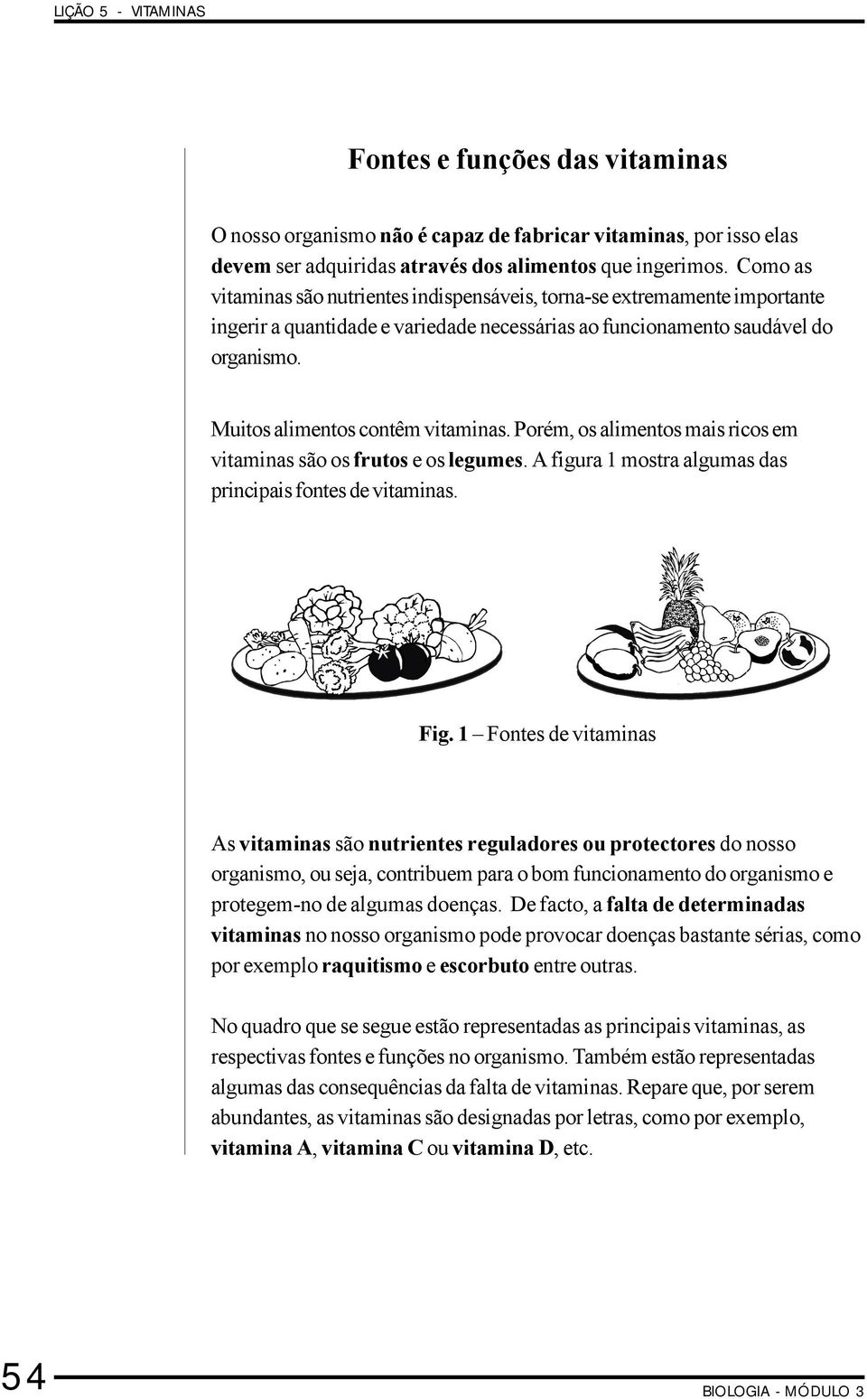 Muitos alimentos contêm vitaminas. Porém, os alimentos mais ricos em vitaminas são os frutos e os legumes. A figura 1 mostra algumas das principais fontes de vitaminas. Fig.