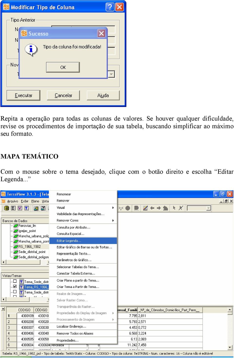 de sua tabela, buscando simplificar ao máximo seu formato.